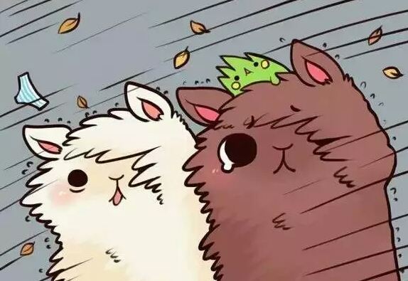 【外賣升級】即使臺風天，也能足不出戶盡享云南美食